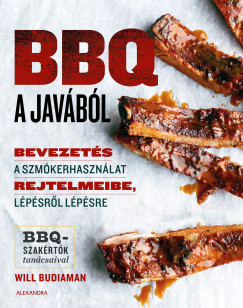 Will Budiaman - BBQ a javbl