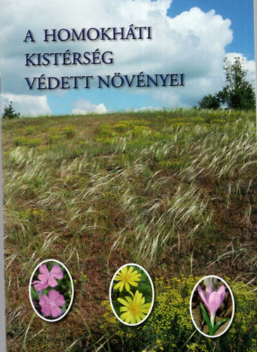 Andrsi Pl (szerk.) - A Homokhti Kistrsg vdett nvnyei